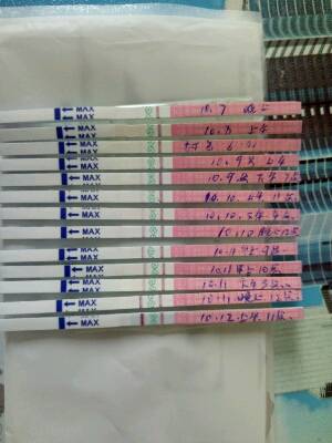 journal_insert_pic_860120461