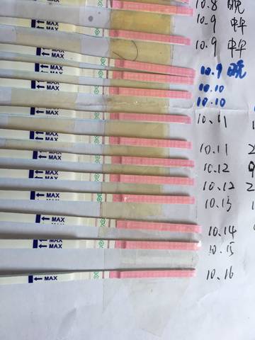 journal_insert_pic_863309736
