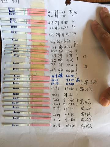 journal_insert_pic_863309939
