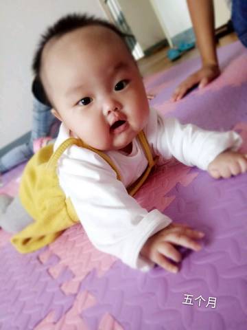 journal_insert_pic_865516447