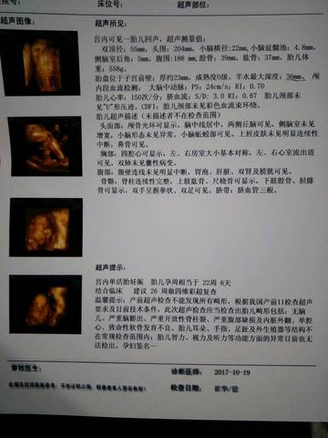 journal_insert_pic_865542036