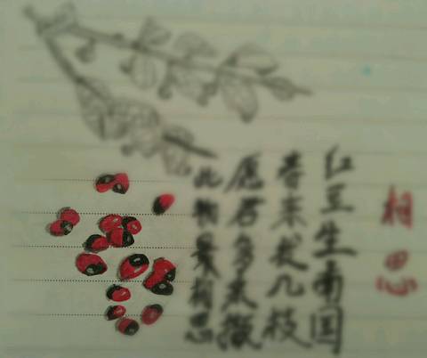 journal_insert_pic_865752776