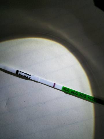 journal_insert_pic_865847373