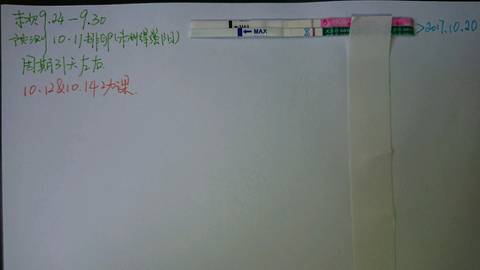 journal_insert_pic_865899256
