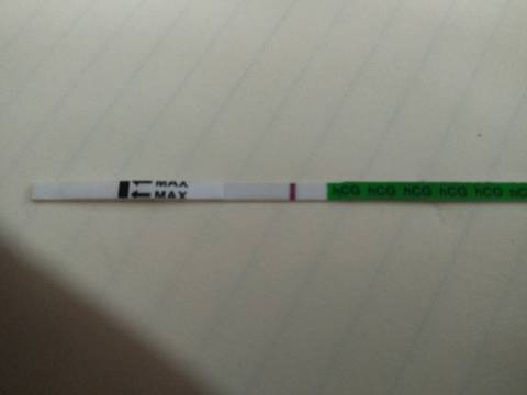 journal_insert_pic_865847359