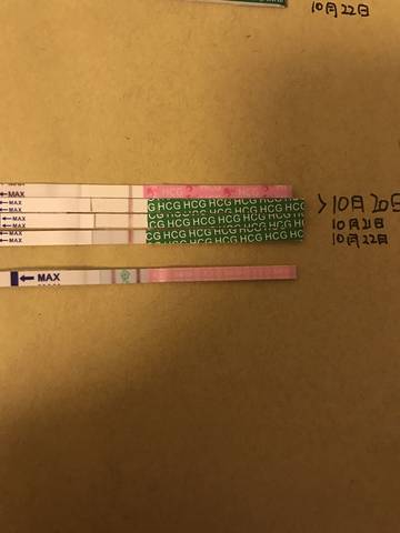 journal_insert_pic_867508519