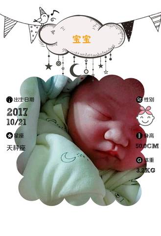journal_insert_pic_867464416