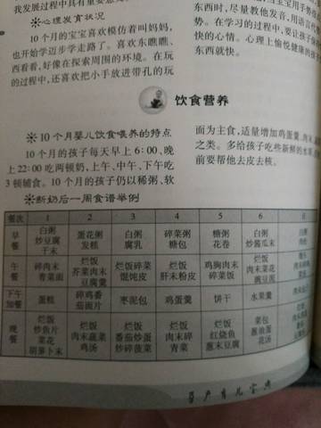 journal_insert_pic_867494677