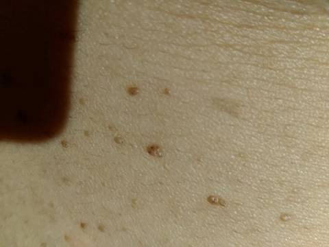 journal_insert_pic_867511416