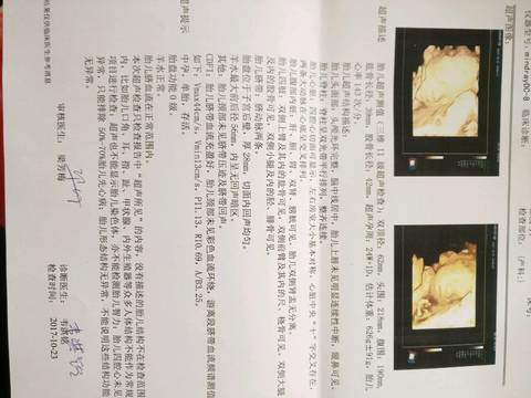 journal_insert_pic_868291894
