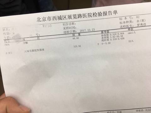 journal_insert_pic_868288112