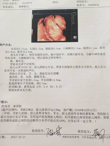 journal_insert_pic_868111933