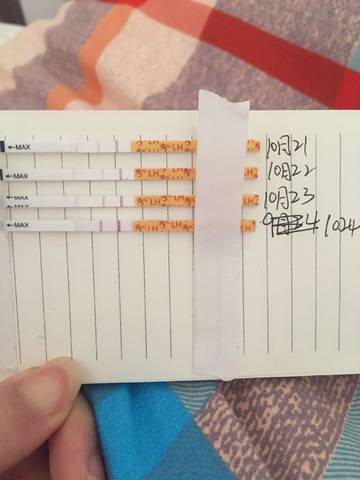 journal_insert_pic_868837023