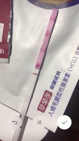 journal_insert_pic_869435552