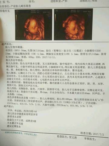journal_insert_pic_869416948