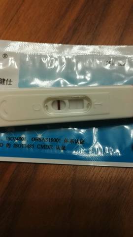 journal_insert_pic_869501863