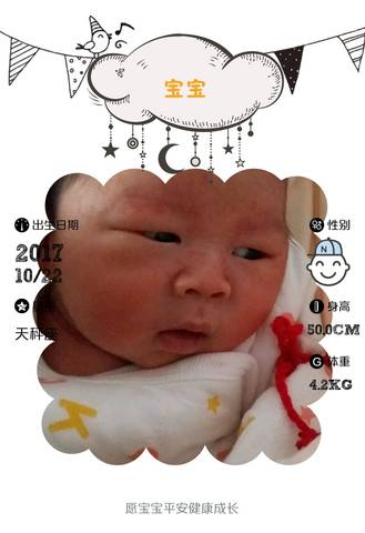 journal_insert_pic_870344815