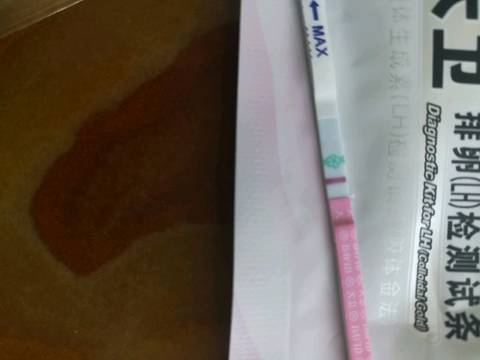 journal_insert_pic_872579435