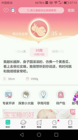 journal_insert_pic_872275335