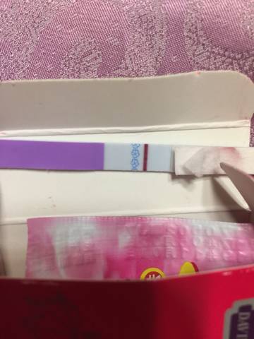 journal_insert_pic_872480205