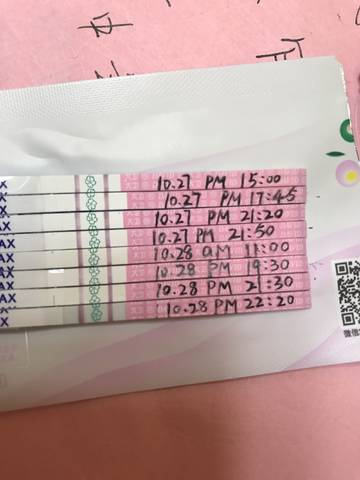 journal_insert_pic_872756893