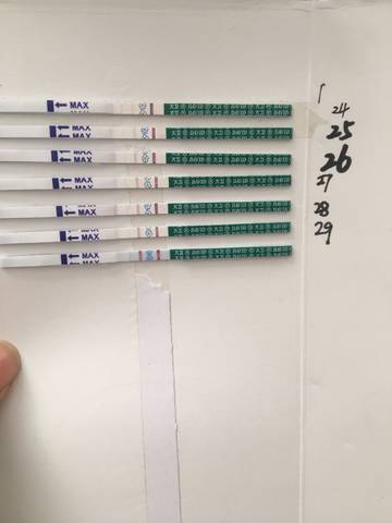 journal_insert_pic_873113262