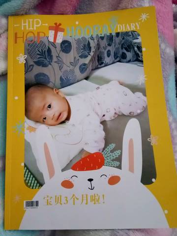 journal_insert_pic_873262804