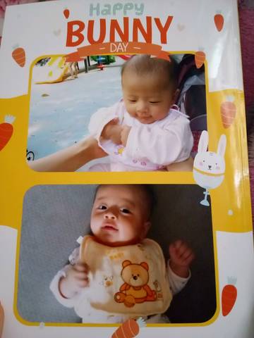journal_insert_pic_873262878