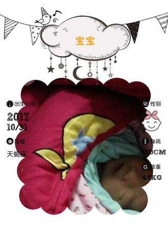 journal_insert_pic_873737918