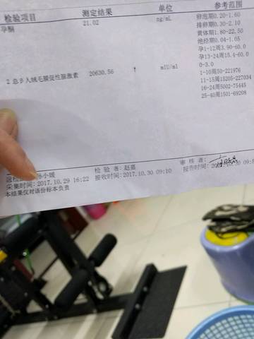 journal_insert_pic_874437289
