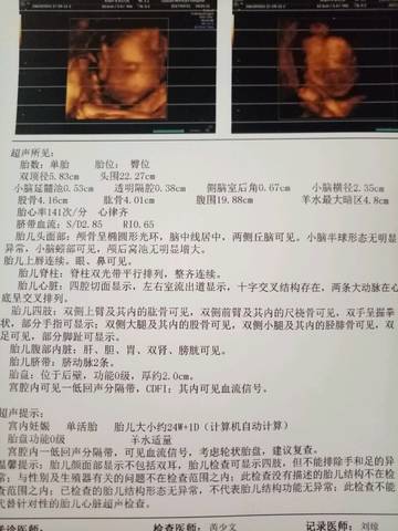 journal_insert_pic_875629832