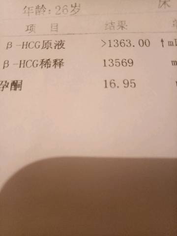 journal_insert_pic_875342085