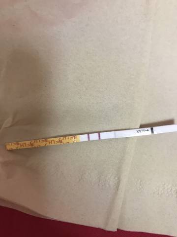 journal_insert_pic_875951053