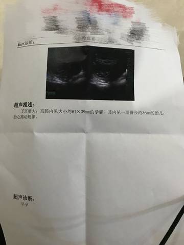 journal_insert_pic_876382840