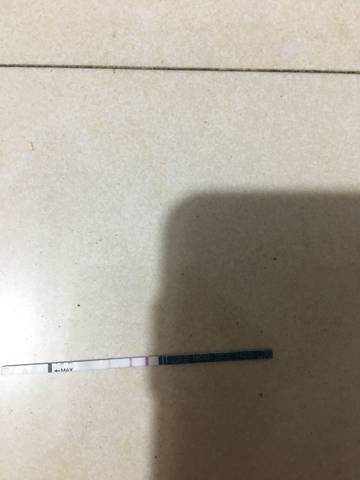 journal_insert_pic_876559625