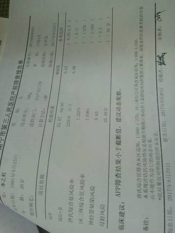 journal_insert_pic_876818219