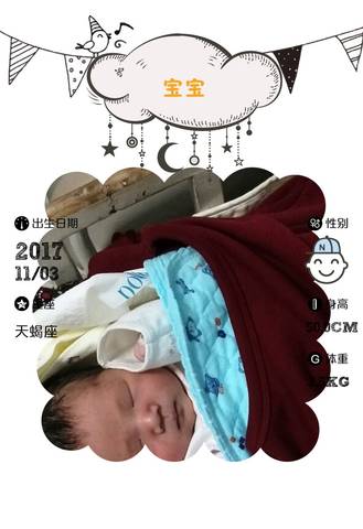 journal_insert_pic_876726555