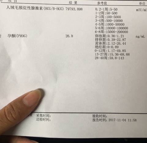 journal_insert_pic_877038086
