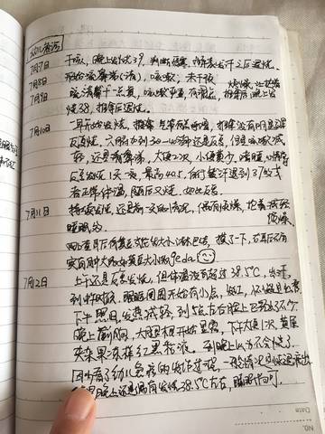 journal_insert_pic_877471224