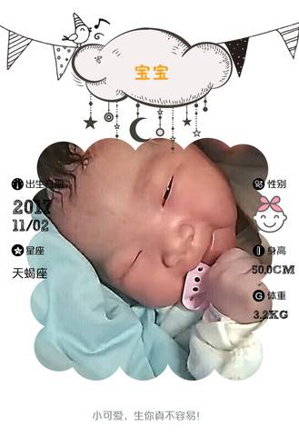 journal_insert_pic_877411310