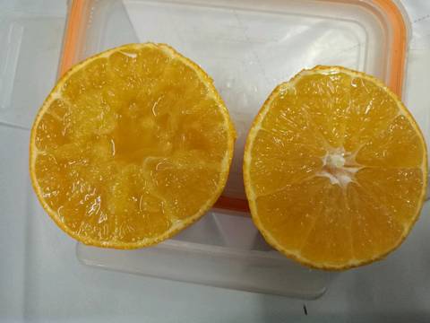 journal_insert_pic_878703991