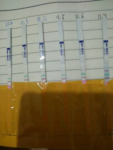 journal_insert_pic_879294235