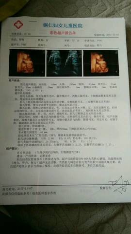 journal_insert_pic_880274340