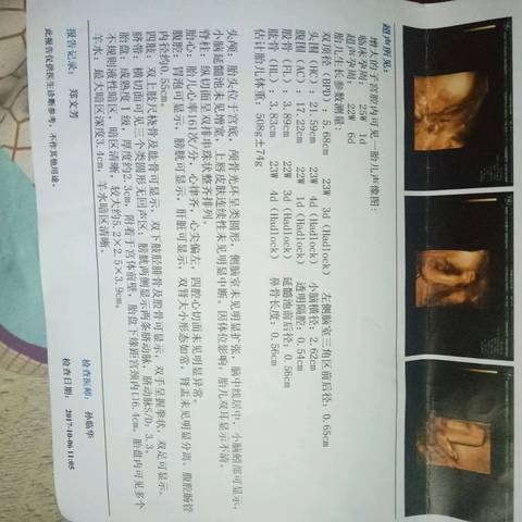 journal_insert_pic_881037795