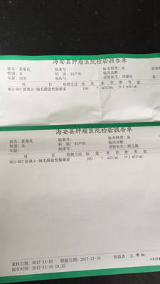 journal_insert_pic_881154901