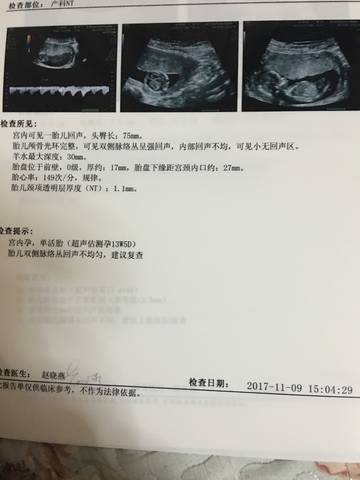 journal_insert_pic_881732371