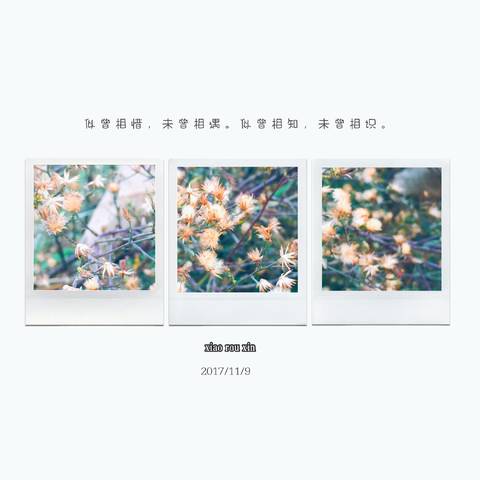 journal_insert_pic_882936472