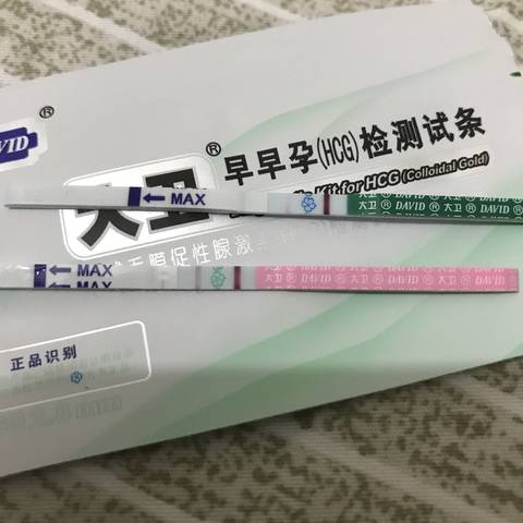 journal_insert_pic_883692833