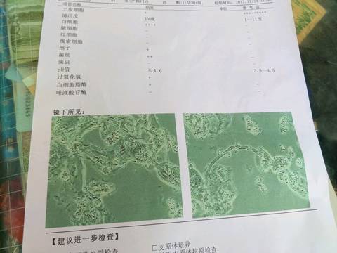 journal_insert_pic_883804015
