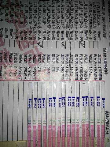 journal_insert_pic_883707364
